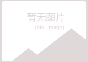 蓝山县匆匆造纸有限公司